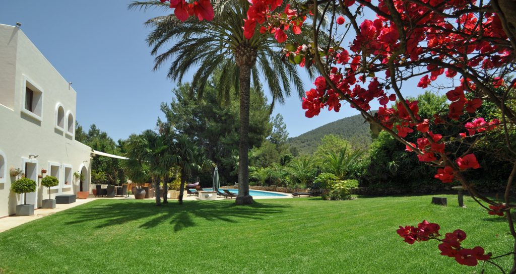 Ibiza Property News