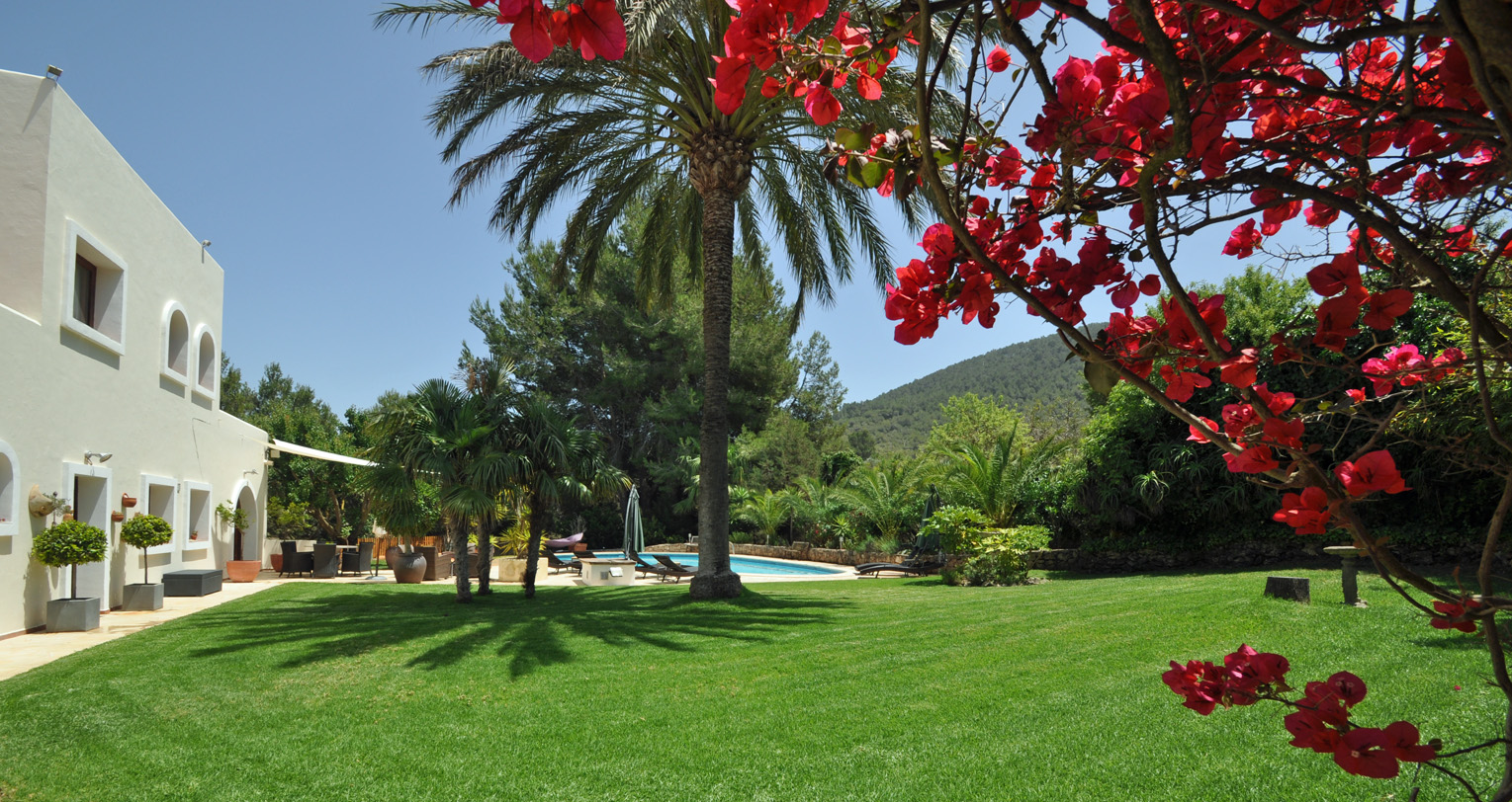 Ibiza Property News